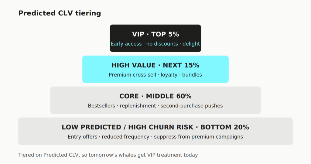 image 12 The Ultimate LTV Guide for DTC brands