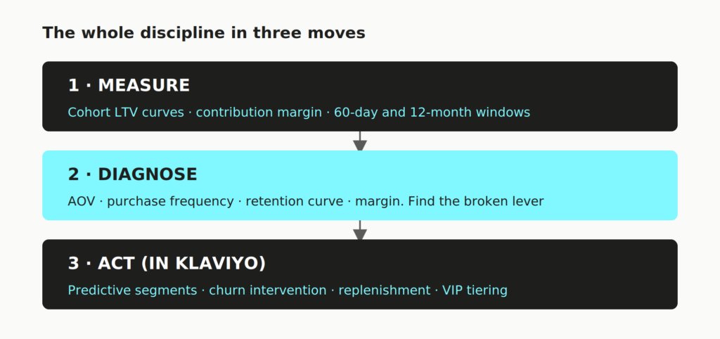 image 13 The Ultimate LTV Guide for DTC brands